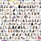 Puzzle - Trefl - 208 kotów