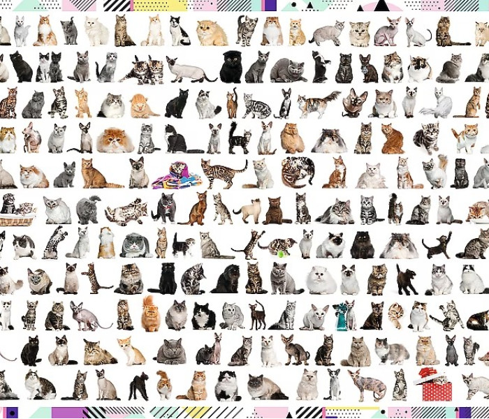 Puzzle - Trefl - 208 kotów