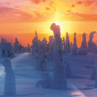 Puzzle - Trefl - Fińska natura