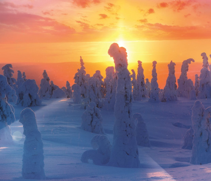 Puzzle - Trefl - Fińska natura