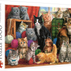 Puzzle - Trefl - Spotkanie kotów