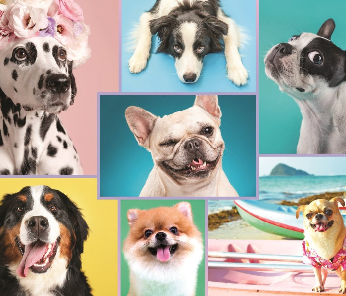 Puzzle - Trefl - Słodkie psy