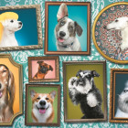 Puzzle - Trefl - Szczęśliwe psy