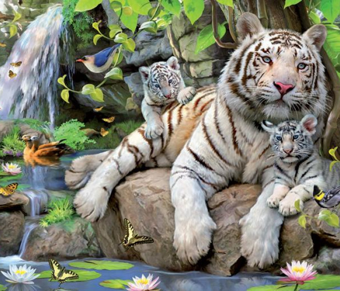 Puzzle - Educa - Białe tygrysy