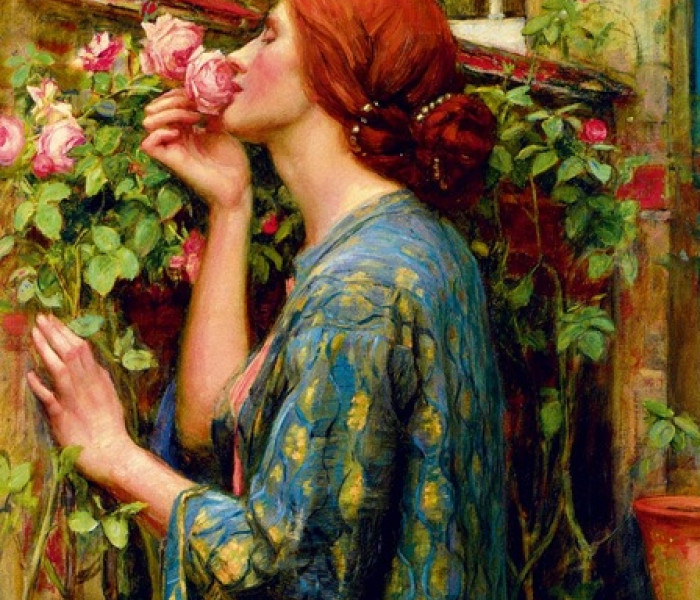 Puzzle - Bluebird - Dusza róży