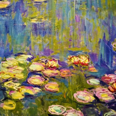 Kwitnące lilie wodne