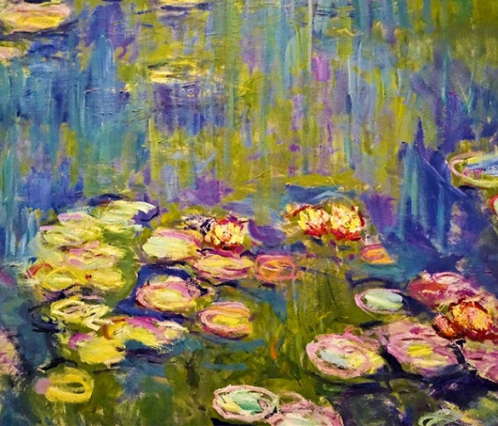 Puzzle - Bluebird - Kwitnące lilie wodne