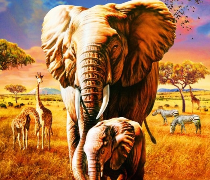 Puzzle - Bluebird - Słonie