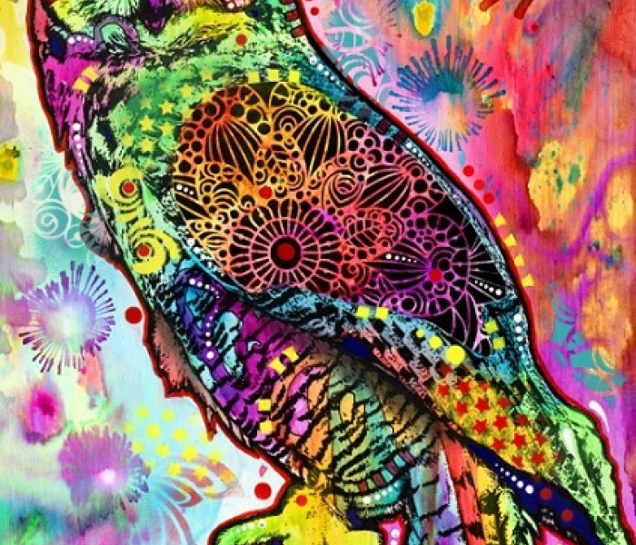 Puzzle - Bluebird - Sowa