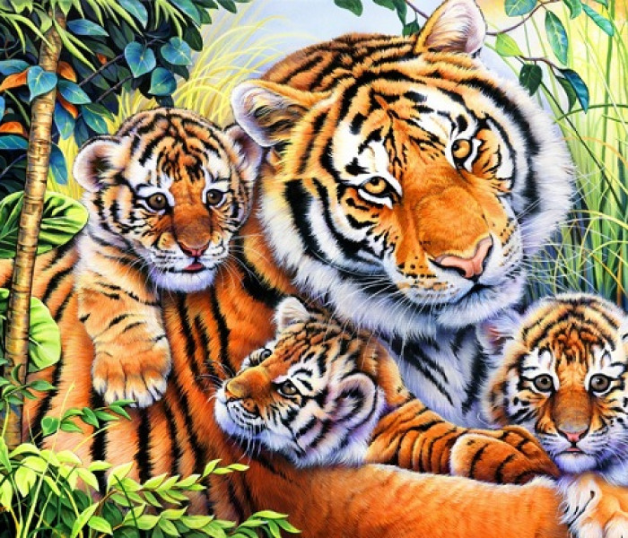Puzzle - Bluebird - Rodzina tygrysów