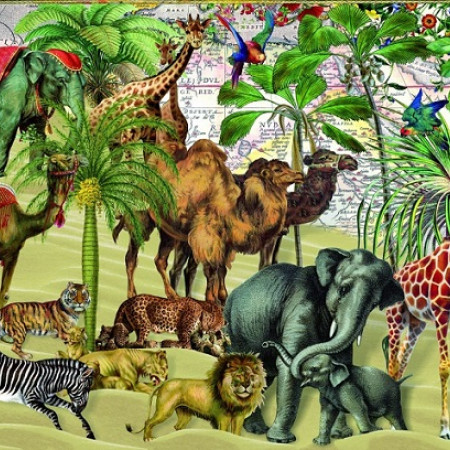 Zwierzęta na pustyni