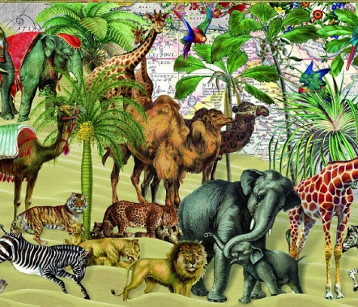 Puzzle - Bluebird - Zwierzęta na pustyni