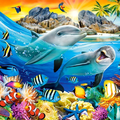 Delfiny w tropikach 