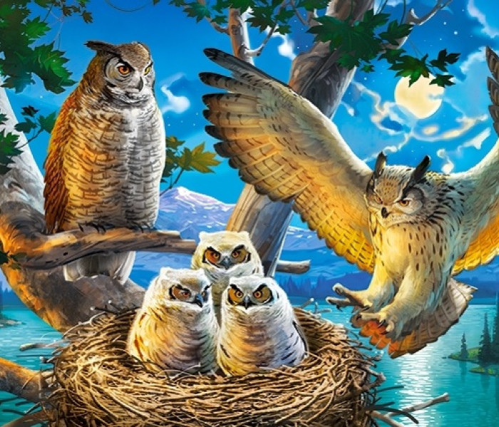 Puzzle - Castorland - Rodzina sów