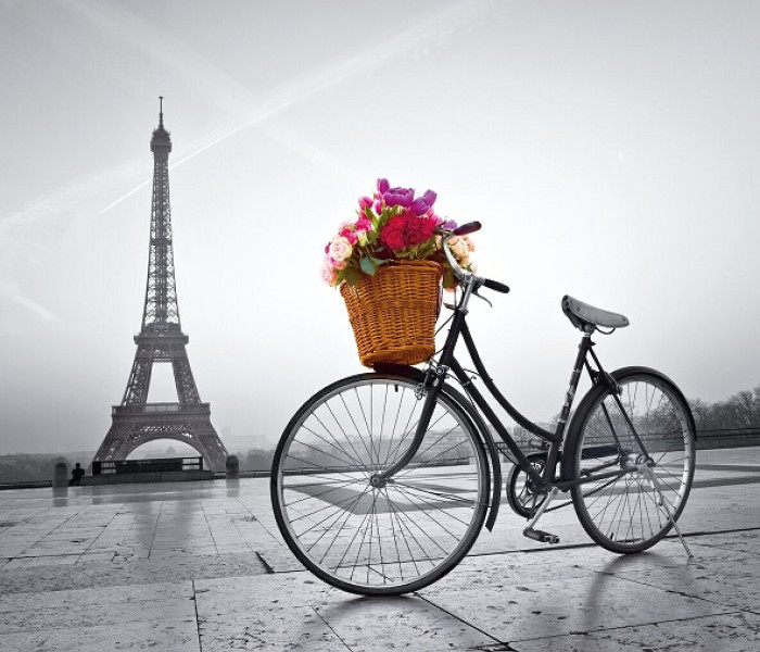 Puzzle - Clementoni - Romantyczna promenada w Paryżu