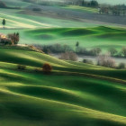 Puzzle - Clementoni - Toskania