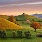 Puzzle - Dino - Bajkowy wschód słońca