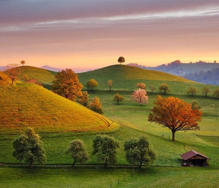 Puzzle - Dino - Bajkowy wschód słońca