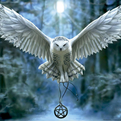 Przebudź swoją magię