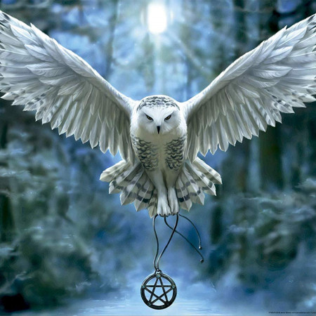 Przebudź swoją magię