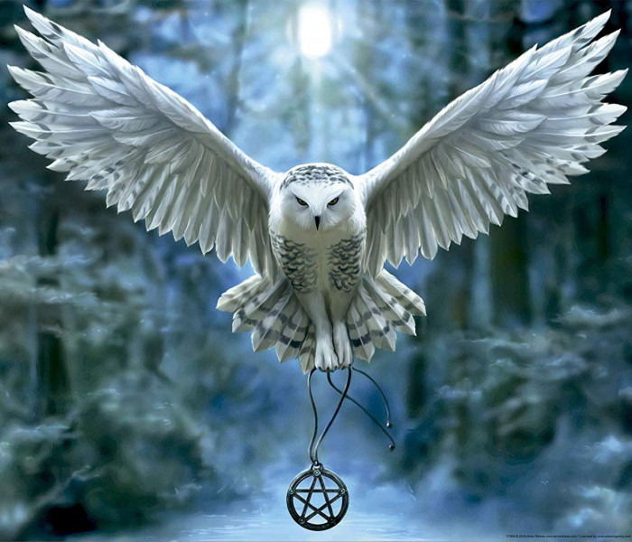 Puzzle - Educa - Przebudź swoją magię