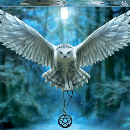 Przebudź swoją magię