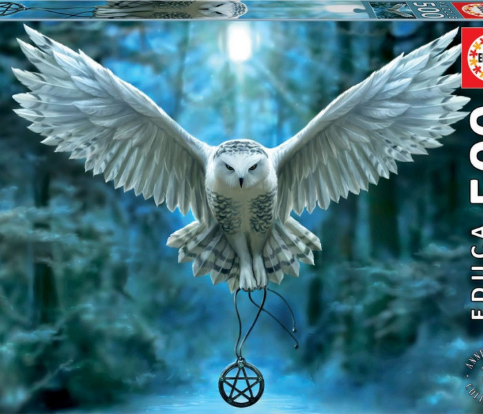 Puzzle - Educa - Przebudź swoją magię