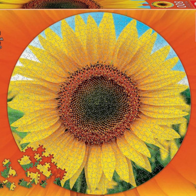 Słoneczniki - Okrągła układanka