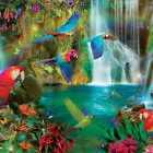 Puzzle - Educa - Papugi tropikalne