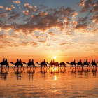 Puzzle - Educa - Złoty zachód słońca, Australia