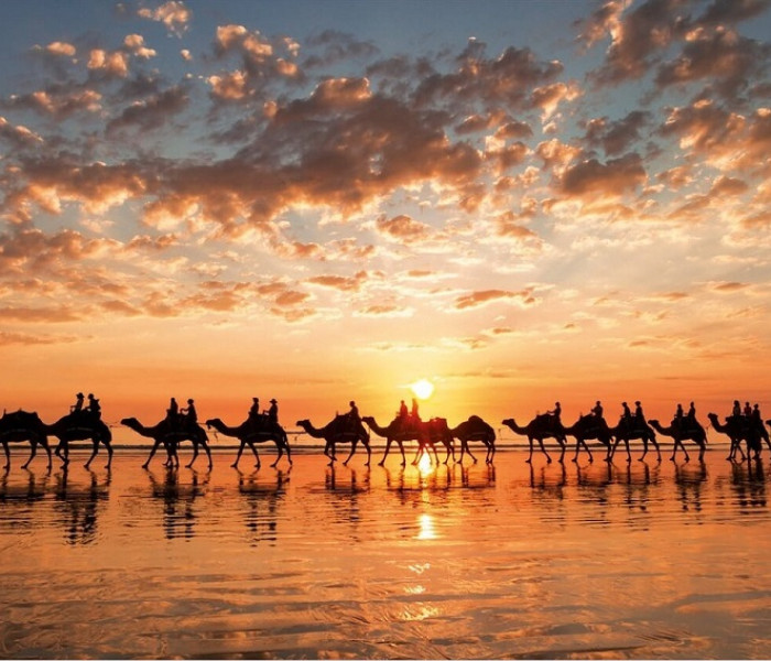 Puzzle - Educa - Złoty zachód słońca, Australia