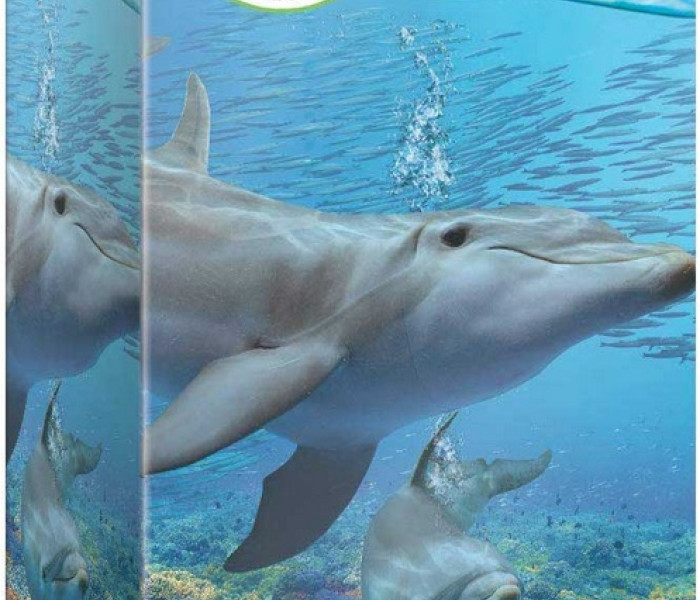 Puzzle - Eurographics - Delfiny