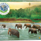 Puzzle - Eurographics - Słonie w rzece