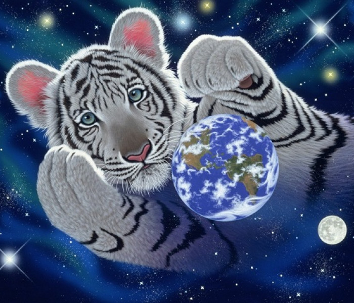 Puzzle - Grafika - Tygrys i kula ziemska