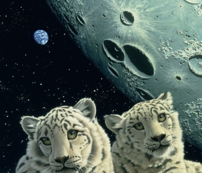 Puzzle - Grafika - Pantery śnieżne