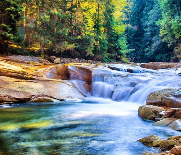 Puzzle - Grafika - Wodospad w lesie