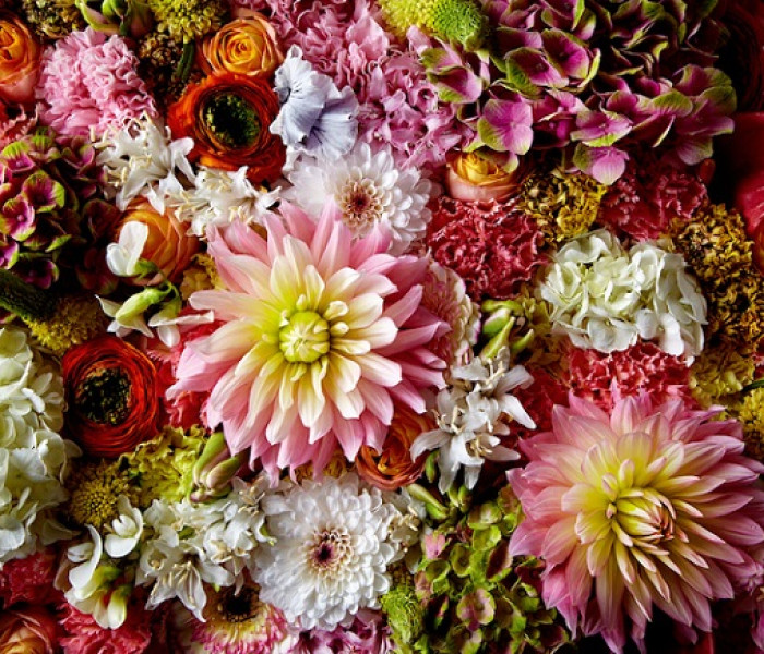 Puzzle - Heye - Dalia