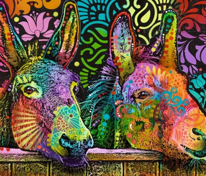 Puzzle - Heye - Ośla miłość