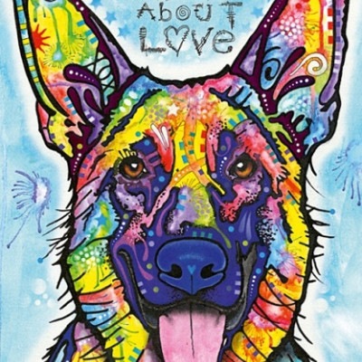 Pies nigdy nie kłamie