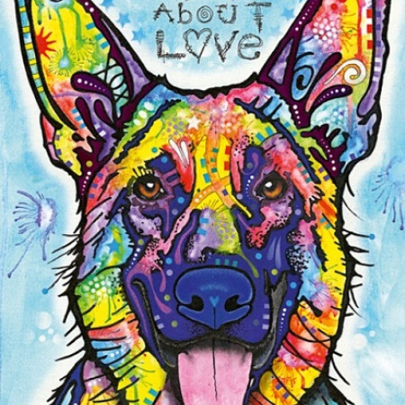 Pies nigdy nie kłamie