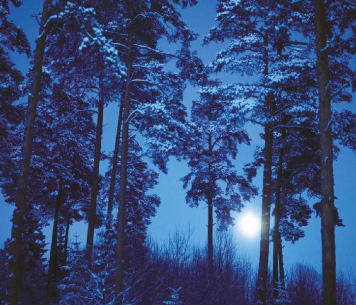 Puzzle - Heye - Pełnia księżyca