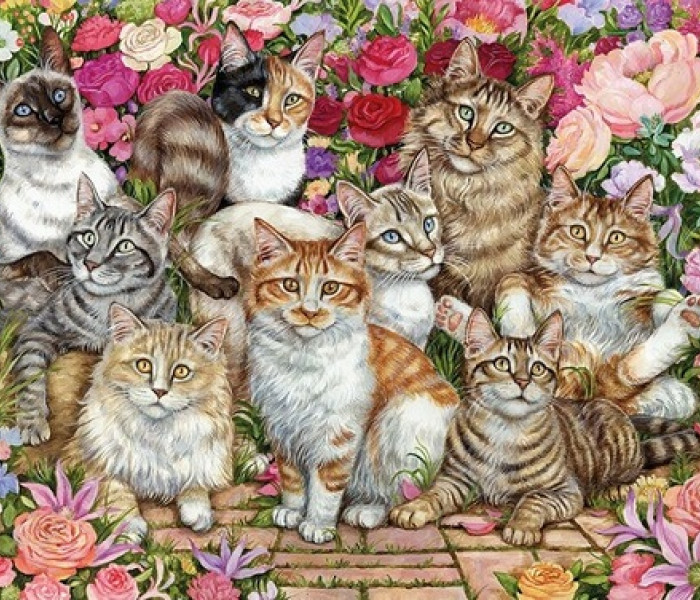 Puzzle - Falcon - Koty w kwiatach