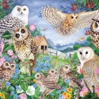 Puzzle - Falcon - Sowy