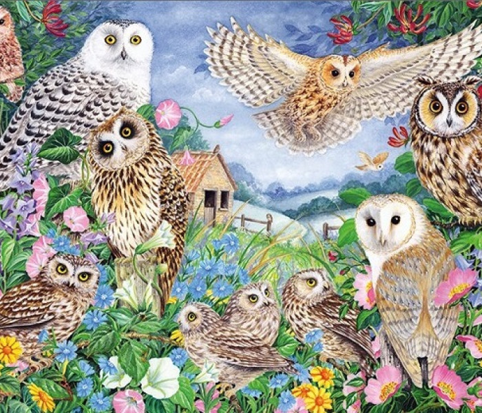 Puzzle - Falcon - Sowy