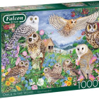 Puzzle - Falcon - Sowy