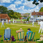 Puzzle - Falcon - Sporty na trawie