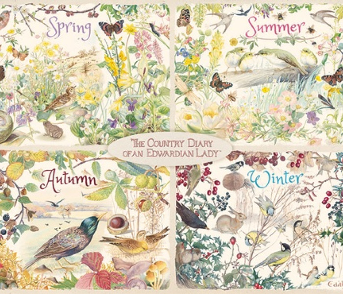 Puzzle - Falcon - Cztery pory roku na wsi