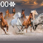 Puzzle - Jumbo - Konie na wolności