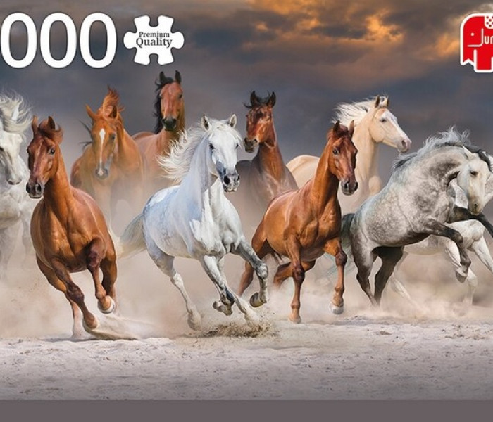 Puzzle - Jumbo - Konie na wolności