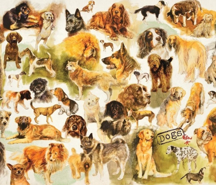 Puzzle - Jumbo - Plakat z psami